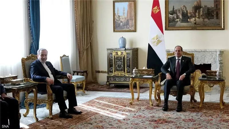 الرئيس السيسي