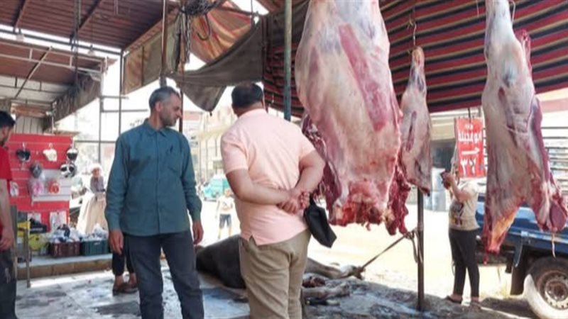 الطب البيطري بالبحيرة