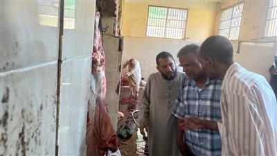 مرور مفاجئ علي المخابز الحكومية والأهلية لضبط منظومة بقوص