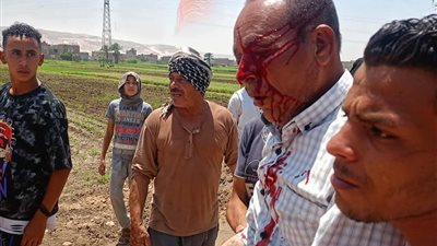 ضبط المتهمان بالتعدي على مدير حماية الأراضي بسوهاج