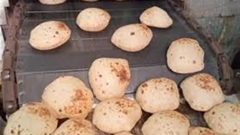 خبز مدعم 