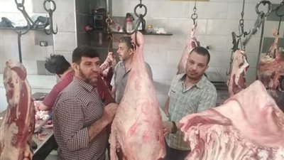 تموين بني سويف: تحرير 230 محضر مخالفات لمخابز وأسواق وسلع مجهولة خلال العيد