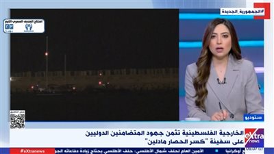 باحث سياسي: اعتراض إسرائيل سفينة 