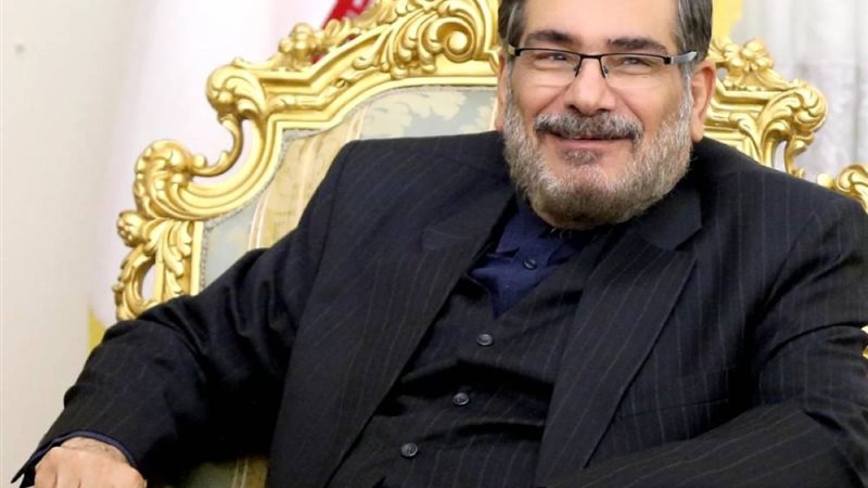 على شمخاني، مستشار