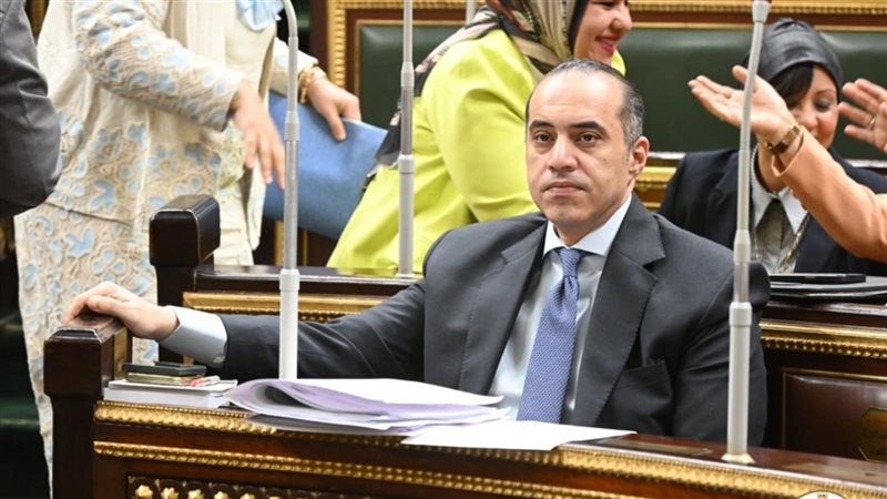 المستشار محمود فوزي،
