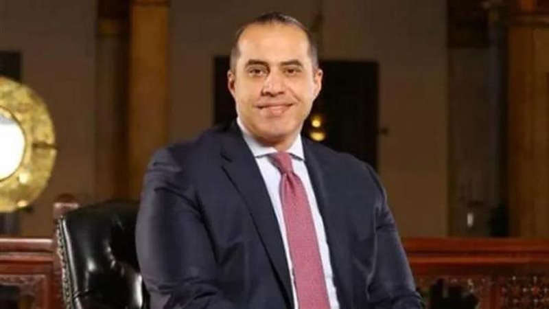 المسشار محمود فوزي