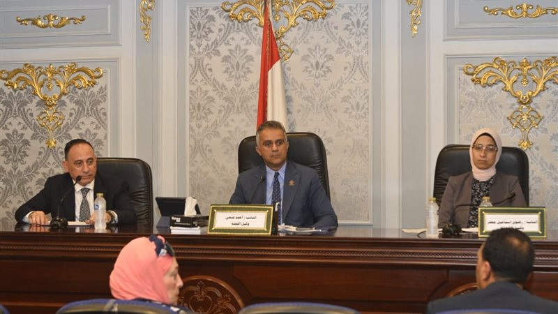 لجنة التضامن الاجتماعي