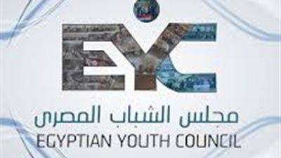 مجلس الشباب المصري: مناهضة خطاب الكراهية ضرورة وطنية لحماية السلم المجتمعي