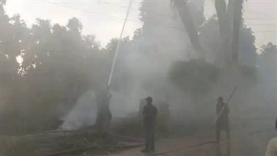 ننشر الصور الأولى لحريق اندلع في حشائش وأشجار أمام محكمة الأقصر