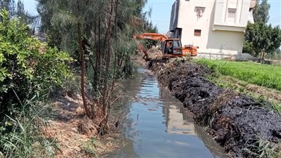 الاصلاح الزراعي يزيل 438 حالة تعدي في المهد ويواصل جهود الدعم الفني للمنتفعين 