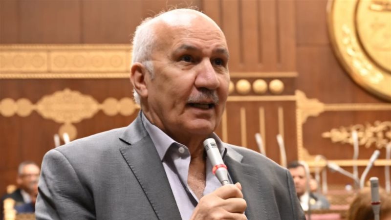  النائب السيد عبد