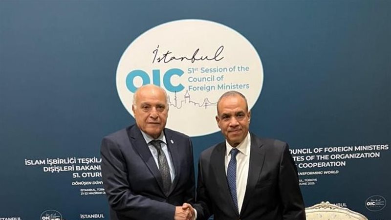 وزير الخارجية المصري