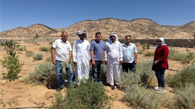 ورشة عمل إقليمية لتعزيز مواجهة التحديات البيئية  وتحقيق التنمية الزراعية