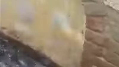 من الإكرام إلى الإهمال.. مأساة حقيقية تعيشها مقابر عمرو بن العاص بدمياط