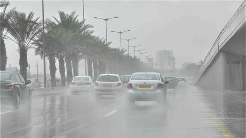 ارشيفية
