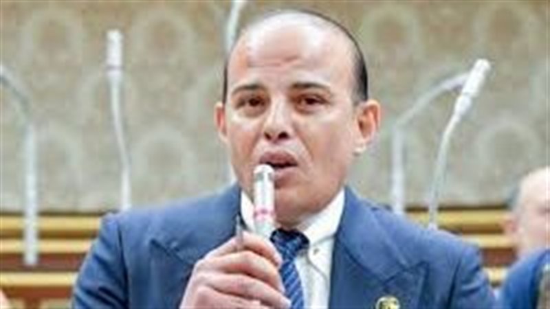 عمرو القطامي عضو