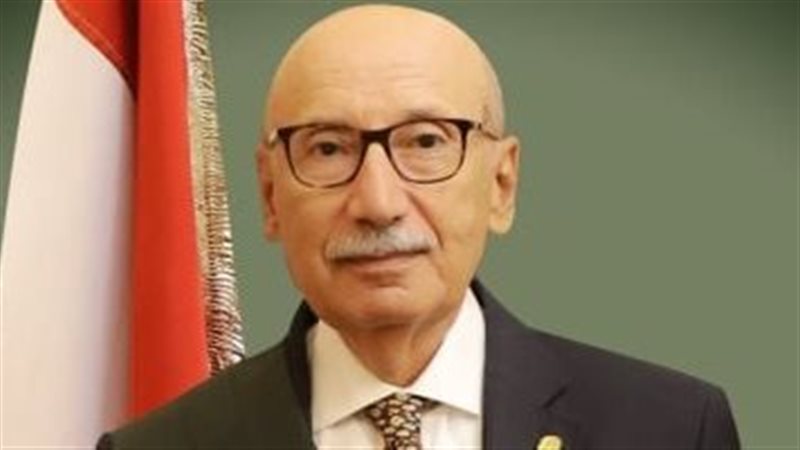 المستشار عاصم عبد