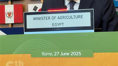 وزير الزراعة يدعو لتنفيذ الشراكة الأفريقية الأوروبية لتعزيز الأمن الغذائى 
