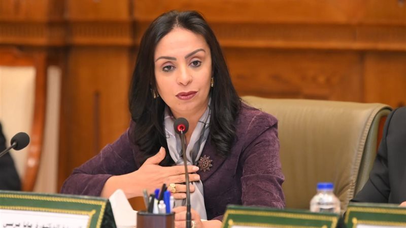 الدكتورة مايا مرسي