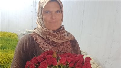 حكاية 22 ألف مشتل بعزبة الأهالي بالقليوبية متخصص في زراعة الزهور 