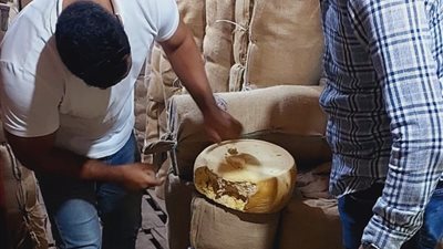 هيئة سلامة الغذاء تعلن تنفيذ 57 مأمورية رقابية على المصانع ومراكز التعبئة