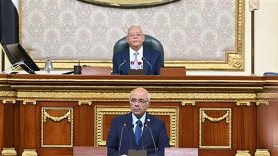 مجلس النواب يرفض حذف المادة 2 من قانون الإيجار القديم ويتمسك بإنهاء العقود 