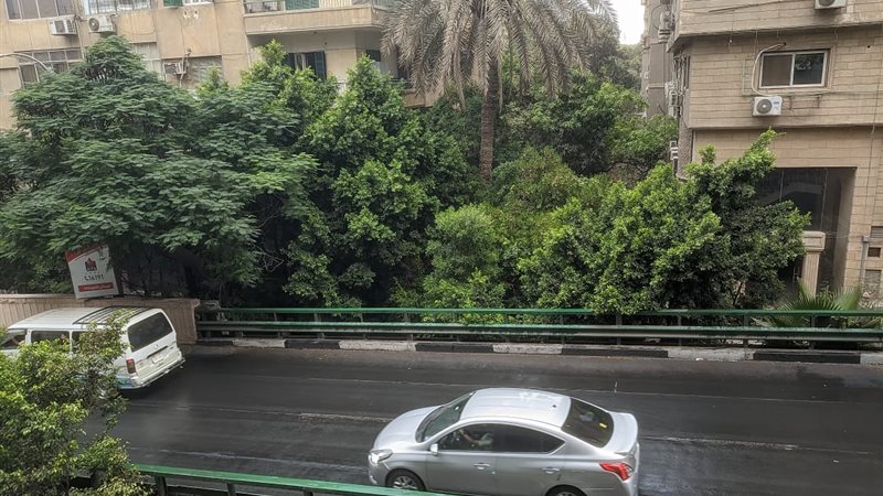 امطار