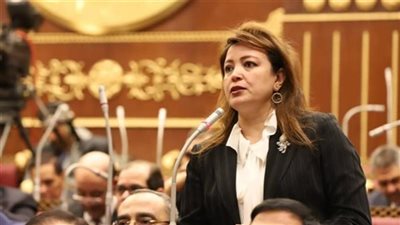 سناء سليمان: حزب حماة الوطن يواكب التحديات ويضع رؤى مستقبلية لخدمة الدولة
