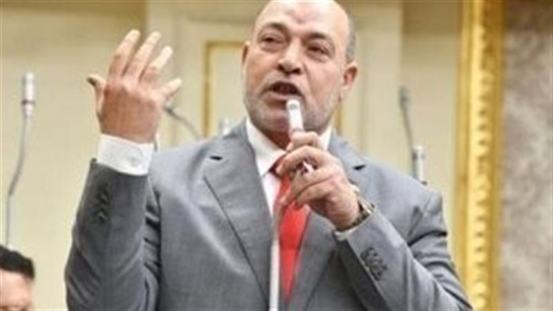المهندس حسن المير