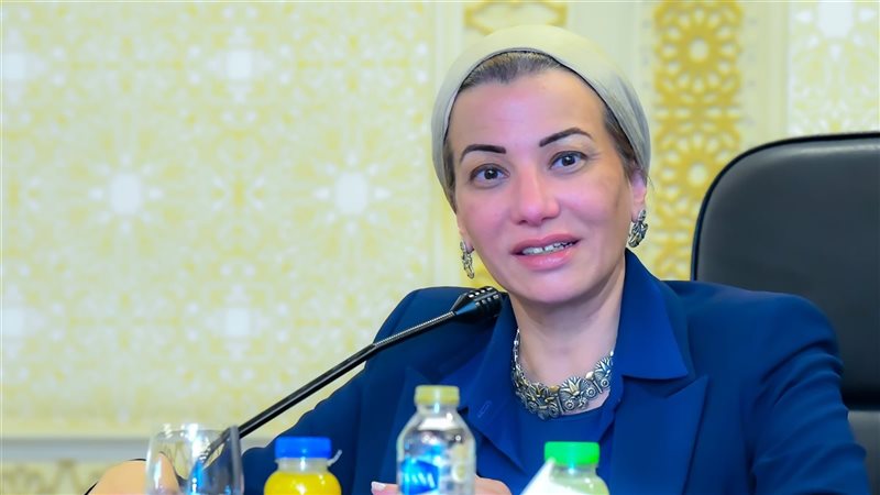 الدكتورة ياسمين فؤاد