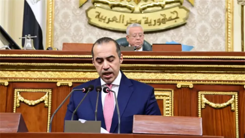 المستشار محمود فوزي