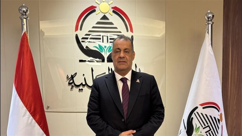 المهندس فتحي دسوقي