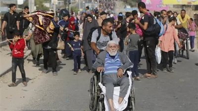 كارثة إنسانية في غزة.. أمجد الشوا يدعو لوقف دائم للعدوان وإعادة الإعمار غزة