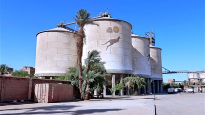 توريد أكثر من 1844 طن قمح للشون والصوامع خلال 4 أيام بسوهاج 