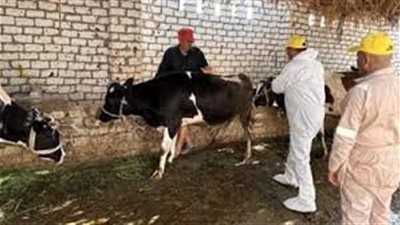 جهود مكثفة لتوعية المربين وتعزيز مناعة الماشية ضد الأمراض الوبائية 