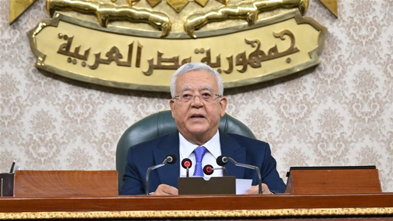 المستشار الدكتور