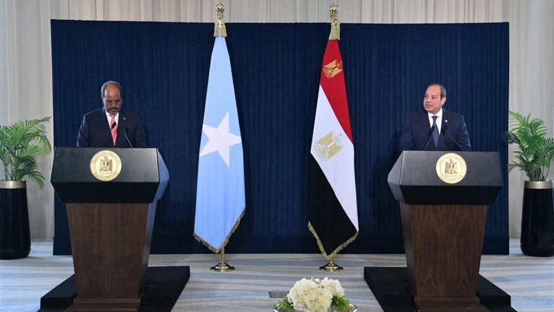 الرئيس السيسي ونظيرة