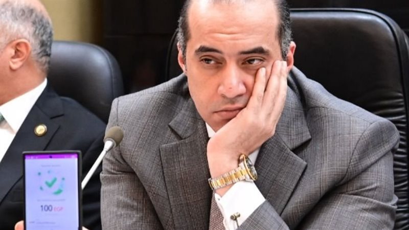 محمود فوزي