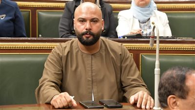 إبراهيم الديب: مؤتمر حل الدولتين فرصة تاريخية لإعادة الزخم للقضية الفلسطينية