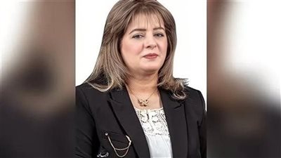 «خارجية النواب»: زيارة السيسي لمالابو تعكس دور مصر المحوري في إفريقيا