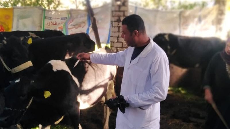  الحملة القومية للتحصين