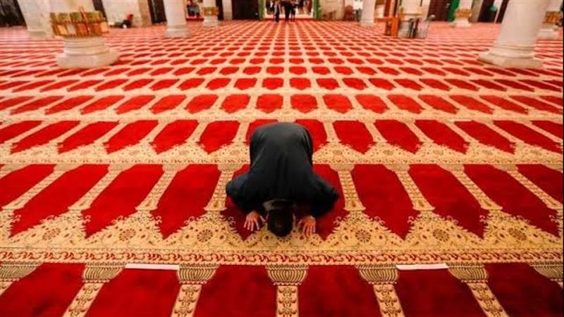 المساجد