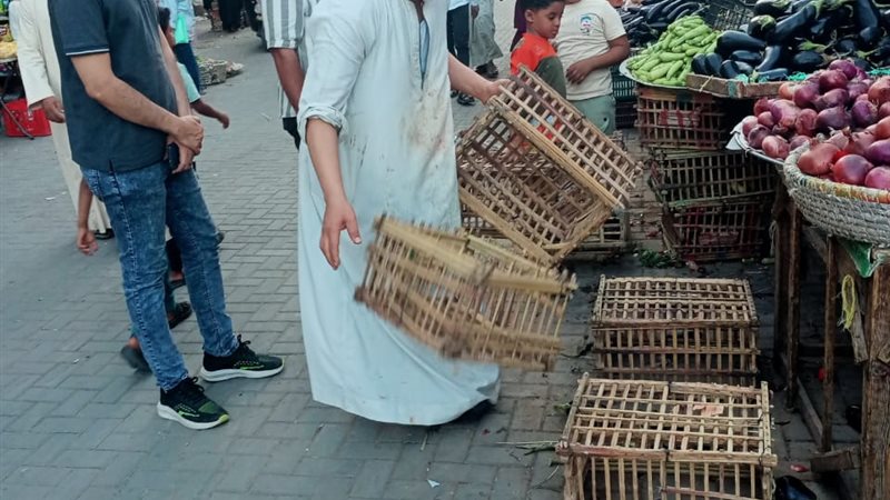 جانب من حملات رفع