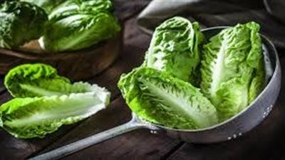 الخس في الصيف.. كنز صحي لترطيب الجسم وتعزيز المناعة 