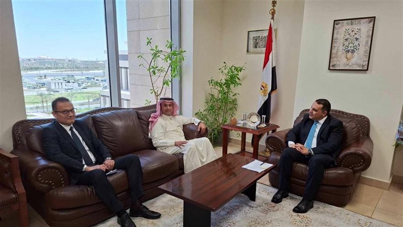 التمثيل التجاري
