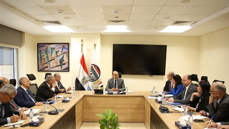 وزير قطاع الأعمال