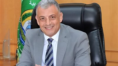 الإسماعيلية تستعد للشيوخ بـ 135 مركزًا لاستقبال 999248 ناخبًا