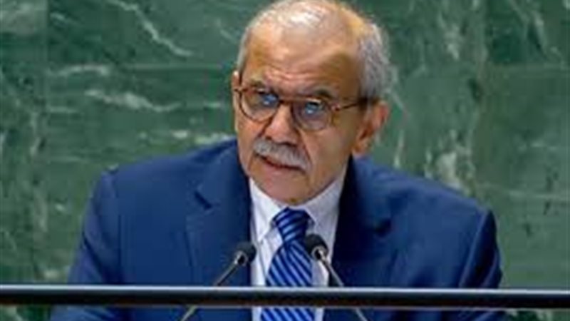 رئيس الحكومة اللبنانية