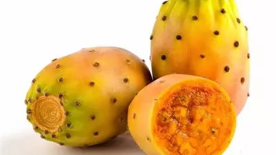 التين الشوكي.. تعرف على أبرز الفوائد الصحية لفاكهة الصيف
