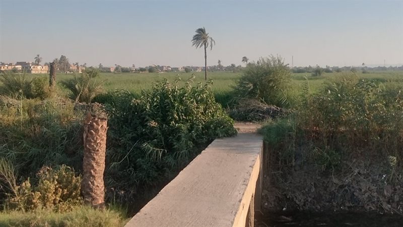 ممرات الصب الغير